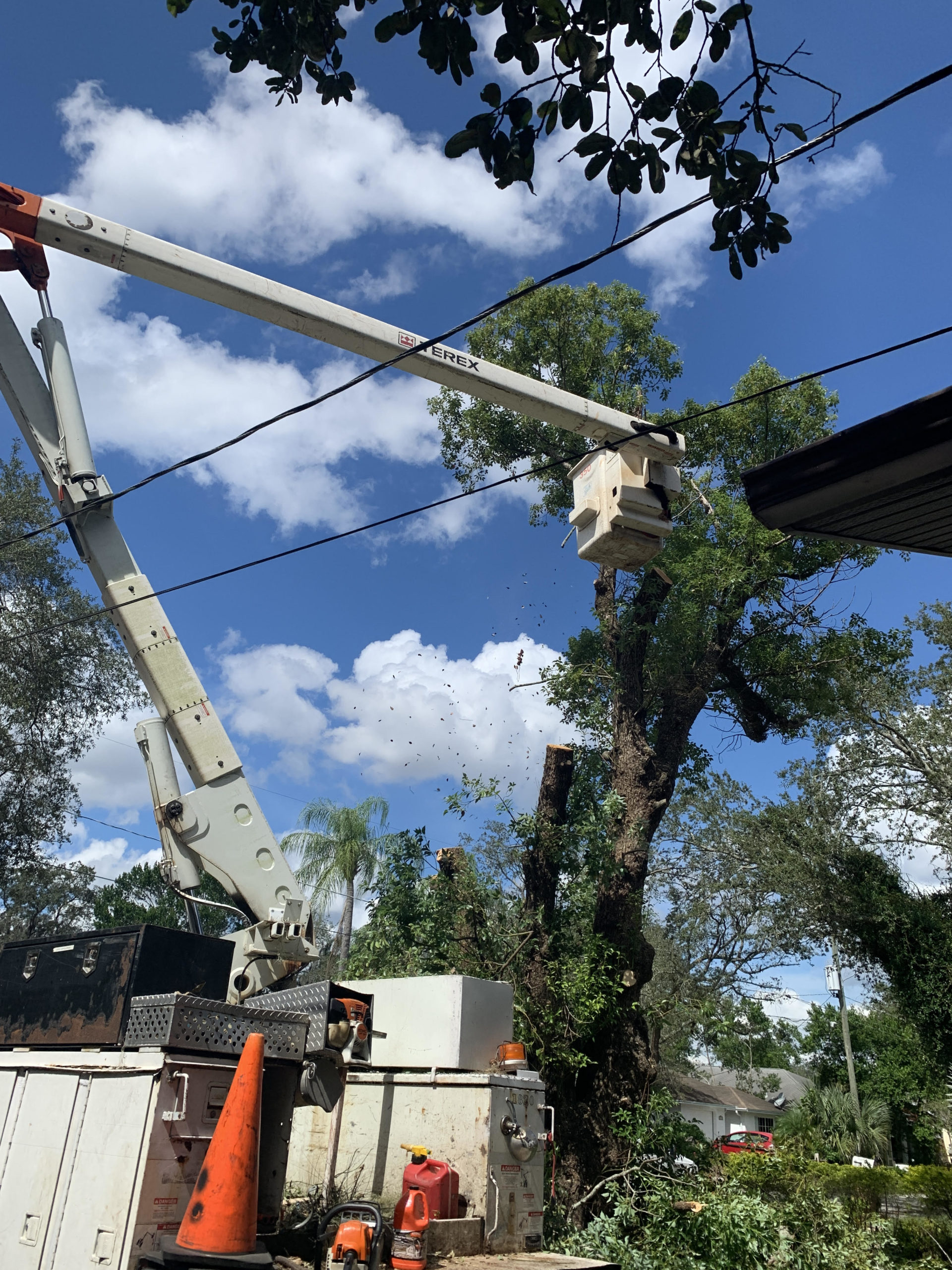 Affordable Storm Damage Tree Services Hillsborough County