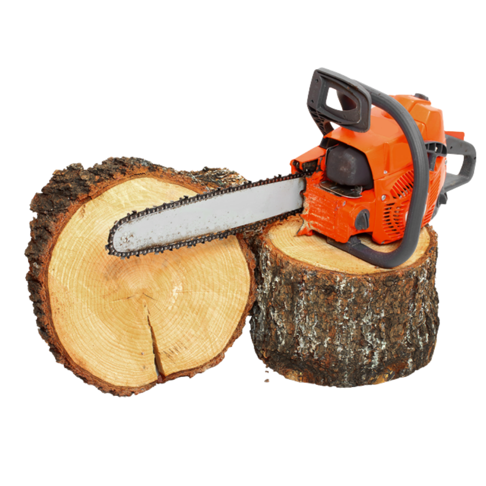 Tree Removal Services Hillsborough County